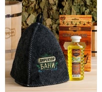 Подарочный набор Добропаровъ шапка Директор бани и шампунь Ромашка 7374302