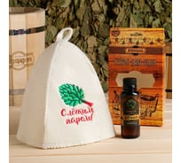 Подарочный набор Добропаровъ шапка С легким паром и ароматизатор Пихта 7374292