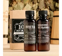 Набор Банная забава 100% мужчина 2 ароматизатора, 100 мл 4572637