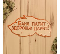 Табличка Добропаровъ Баня парит здоровье дарит, 2-слойная, 30x16 см 2716431