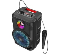 Большая портативная колонка с микрофоном Hoco BS46 6931474754080