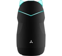 Беспроводная колонка Accesstyle Jungle BT Black
