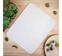 Коврик для бани Добропаровъ "Классический" войлок, белый, 46х39см 1228152