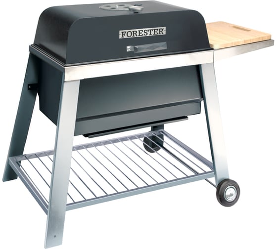 Скворчер Forester Base BQ-704