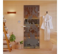 Дверь для бани DoorWood Березка бронза матовая, 2000x800 мм УТ-00014709