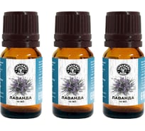 Эфирное масло Бацькина баня Лаванда 3 шт. натуральные аромамасла для бани 16006-3-набор-ВИ