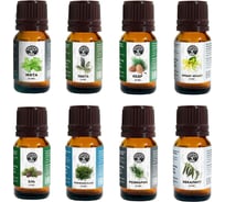 Эфирные масла натуральные Бацькина баня набор аромамасла Русская баня традиции, 8 шт. 16-8-набор-традиц-ВИ