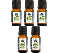 Эфирное масло Бацькина баня Бергамот 5 шт. натуральные аромамасла для бани 16002-5-набор-ВИ