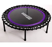 Батут Basefit TR-501 101 см, фиолетовый УТ-00017774