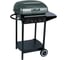Газовый барбекю Green glade 2210 1
