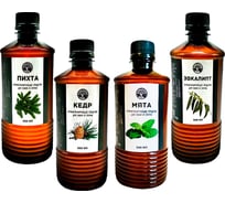 Набор ароматизаторов Бацькина баня 500 мл Тонус микс 4 шт Пихта Кедр Мята Эвкалипт для бани и сауны 17-4-500-набор-мега-ВИ