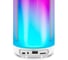 Портативная колонка SVEN АС PS-265, белая, 10 Вт, TWS, Bluetooth, FM, USB, microSD, 2000 мА*ч SV-021344 7