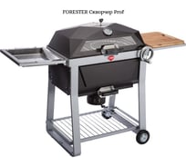 Барбекю-гриль FORESTER Skvorcher professional SKV-P