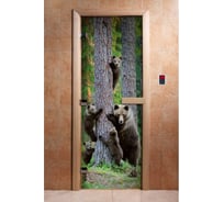 Дверь для бани DoorWood фотопечать, рисунок а064, 2000x800 мм, левая, петли слева DW-00014758