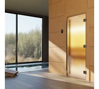 Дверь для бани DoorWood престиж сатин, 2000x800 мм УТ-00012017