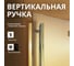 Дверь для бани DoorWood престиж сатин, 2000x800 мм УТ-00012017 4