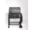 Стационарный гриль "cтанция" с термометром и регулировкой высоты GoGarden grill-master 61 50144 5