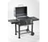 Стационарный гриль "cтанция" с термометром и регулировкой высоты GoGarden grill-master 61 pro 50145 1
