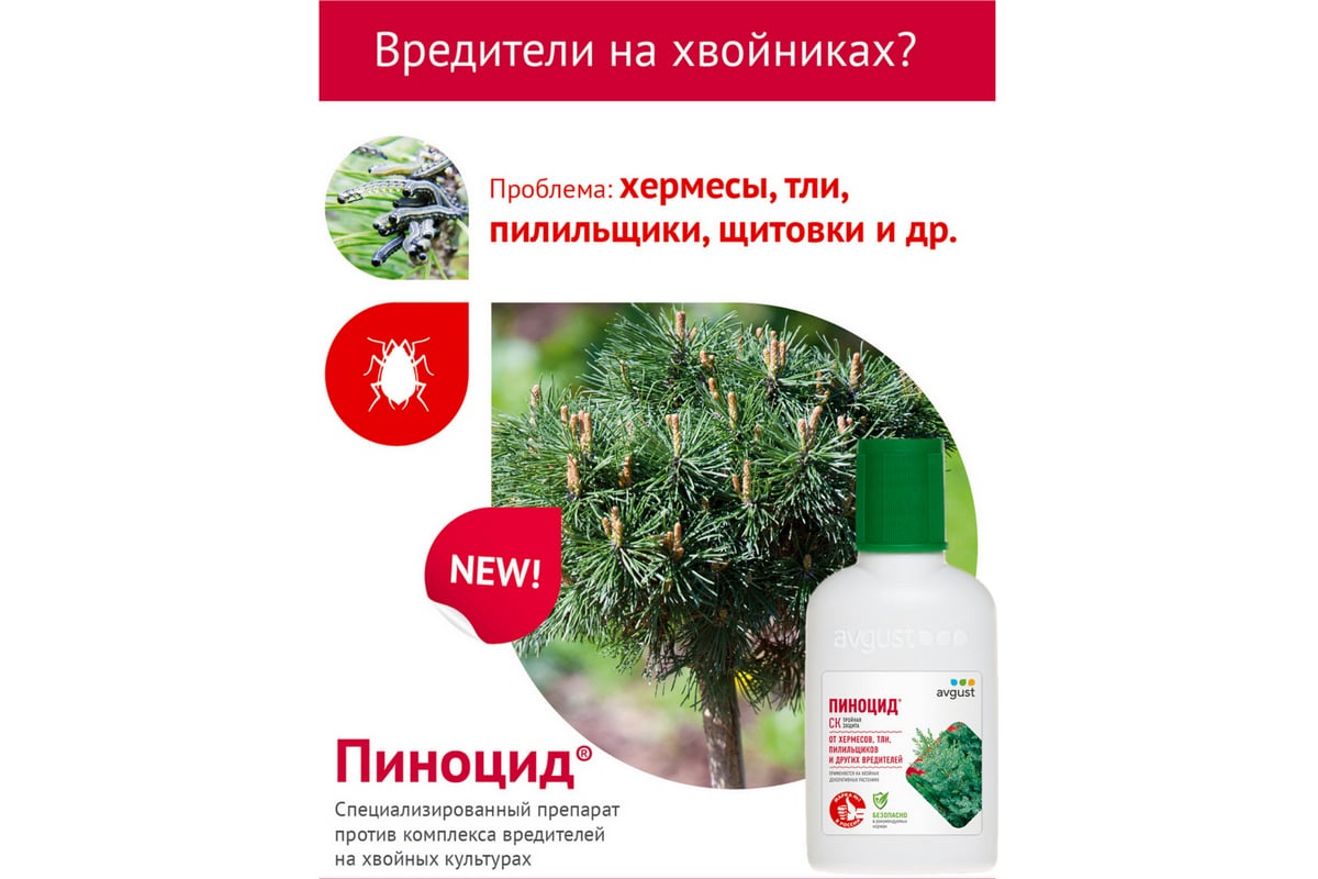 Средство от вредителей на хвойных растениях Август Пиноцид 50 мл 46214591 -  выгодная цена, отзывы, характеристики, фото - купить в Москве и РФ