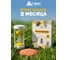 Гранулы от МУРАВЬЁВ в коробке, 80 г HELP 80277 3