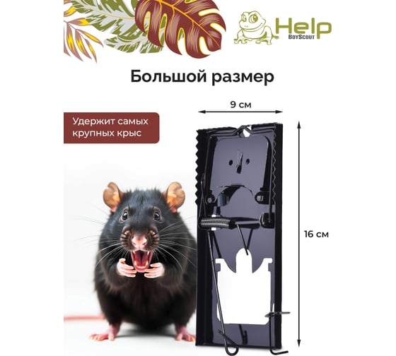 Крысоловка, металл 16х9см HELP 80268