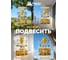 Ловушка для МУХ и ОС 21x21 см HELP 80105 7