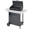 Газовый гриль Campingaz XPERT 200 L 3000004829 1