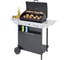 Газовый гриль Campingaz XPERT 200 L 3000004829 2