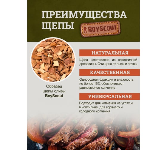 Щепа для копчения BOYSCOUT Слива, 1 л 25 61197