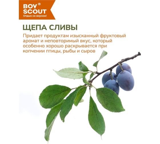 Щепа для копчения BOYSCOUT Слива, 1 л 25 61197