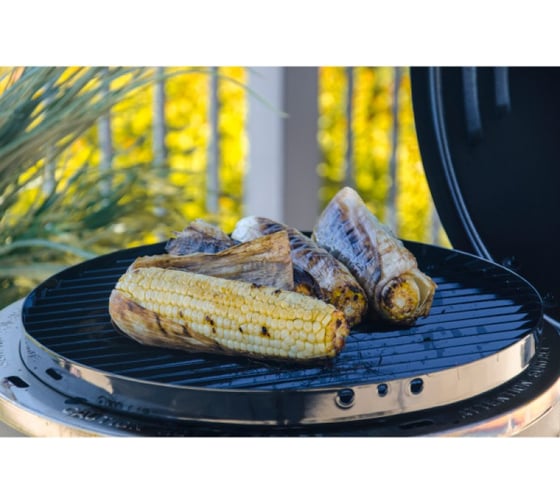 Газовый гриль CHAR BROIL SMOKER, ROASTER 14101550