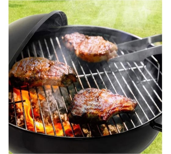 Мангал Homium Garden R01, цвет черный gardenR01black