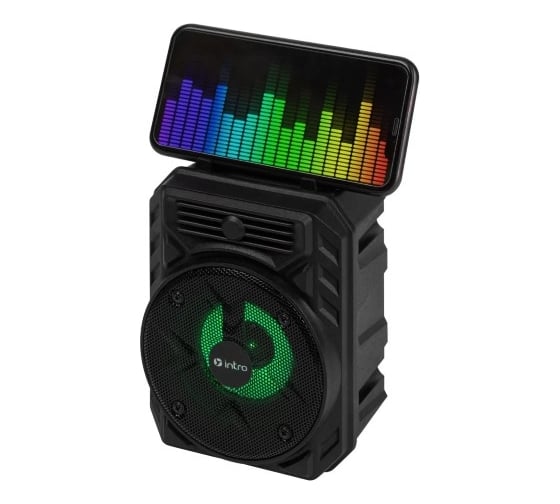 Портативная колонка Intro BRW290 bluetooth беспроводная акустическая черная Б0057182