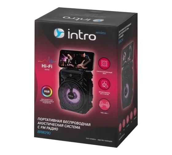 Портативная колонка Intro BRW290 bluetooth беспроводная акустическая черная Б0057182