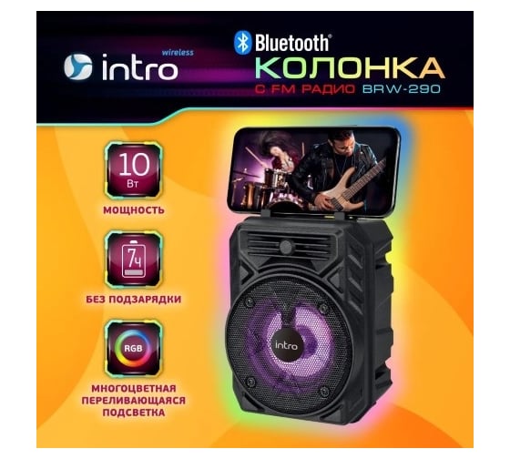 Портативная колонка Intro BRW290 bluetooth беспроводная акустическая черная Б0057182