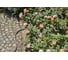 Текстильный шланг Gardena Liano 18425-20.000.00 6