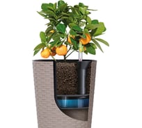 Система автополива Prosperplast IZTS250