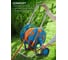 Катушка для шлангов Grinda ProLine HC-60, для шлангов 60м x 1/2 и 30м х 3/4, усиленные колёса, телескопическая ручка 8-428430_z02 3