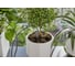 Комплект для полива в выходные дни с емкостью Gardena 10.5 л 13366-20.000.00 7