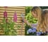 Счетчик воды Gardena AquaCount 18350-34.000.00 6