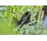 Колышки для шлангов 1/2" Gardena 13208-20.000.00 5