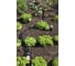 Системный шланг Karcher 2.645-227 3