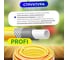 Поливочный шланг STARTUL Garden Profi 1/2", 50 м ST6206-1/2-50 3