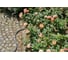 Текстильный шланг GARDENA Liano 13 мм 1/2" 18430-20.000.00 2