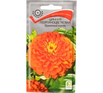 Семена Агрохолдинг ПОИСК ПОИСК Цинния георгиноцветковая Оранжевый король 0,4 гр 580868