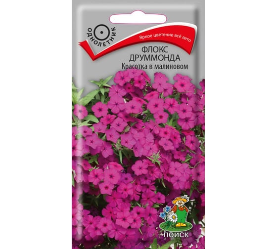 Семена Поиск Флокс друммонда Красотка в малиновом 0.1 г 560931 1