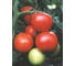 Семена томата ELITE PLANT-BREEDING & SEED PRODUCTION Co. Благовест f1 100 шт эс мини 1026993607 2