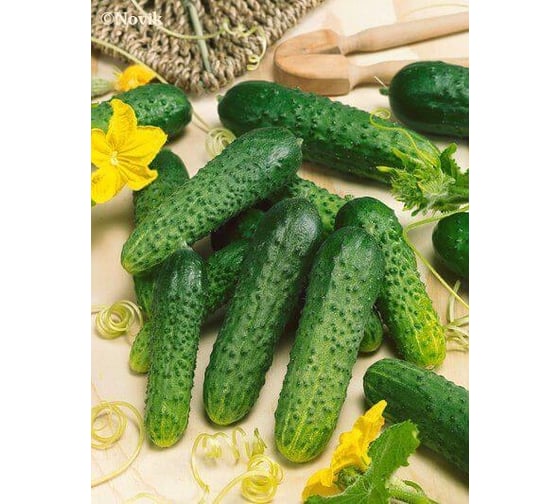 Семена огурца ELITE PLANT-BREEDING & SEED PRODUCTION Co. Пируэт f1 100 шт эс мини 1026993553