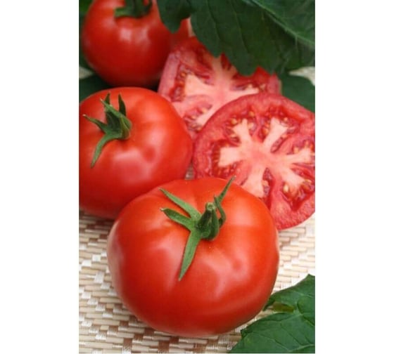Семена томата ELITE PLANT-BREEDING & SEED PRODUCTION Co. Митридат f1 крупноплодного 100 шт эс мини 1026993599