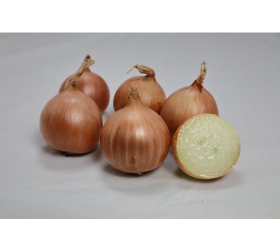 Семена лука репчатого желтого ELITE PLANT-BREEDING & SEED PRODUCTION Co. Центавр f1 50 г эс 1070008334